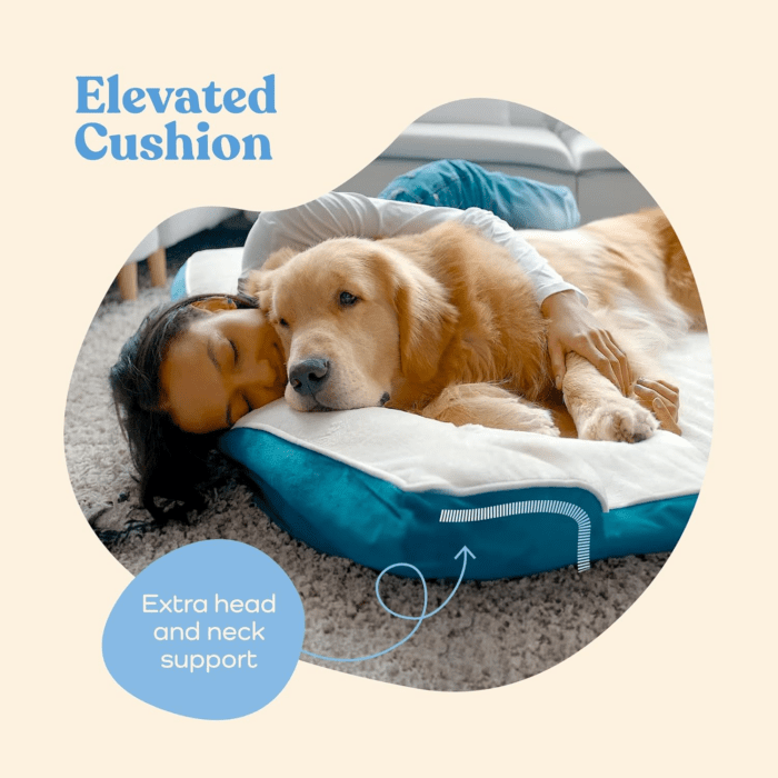 Orthopedic Sofa Dog Bed - Ultra Comfortable Dog Beds for Medium Dogs - Breathable & Waterproof Pet Bed- Egg Foam Sofa Bed with Extra Head and Neck Support - Removable Washable Cover & Nonslip Bottom. - Image 4