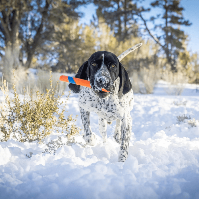 Ultra Fetch Dog Stick for All Breed Sizes - Perfect for Small, Medium, and Large Dogs - Outdoor Fetching and Throwing Pet Toy - Made from Durable Rubber - 12 Inches - Orange and Blue - Image 3