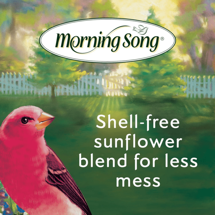 Clean & Free Shell Free Wild Bird Food, Premium No Mess Bird Seed for outside Feeders, 10-Pound Bag - Image 4