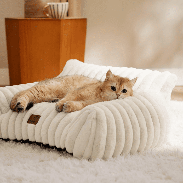 Cute Cat Couch for Pets - Fluffy Cat Sofa with Premium Soft Corduroy Fleece, Fuzzy Cat Couch Bed with Removable Washable Cover, Supportive Cat Chair for Indoor Cats, 24Inch, Cream - Image 9