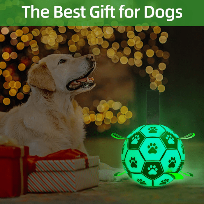 Glow in the Dark Dog Toys Soccer Ball with Straps, Outdoor Interactive Dog Toys Puppy Birthday Gifts, Dog Tug Water Toy, Light up Dog Balls for Small & Medium Dogs（6 Inch Size 2） - Image 2