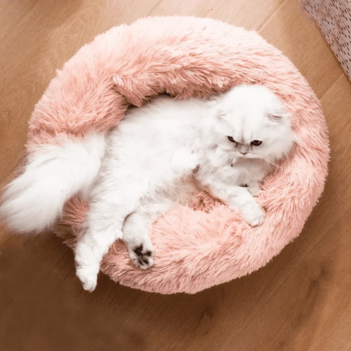 Cat Beds for Indoor Cats - Cat Bed Washable 20/24 Inches, Dog Beds for Small Medium Dogs, anti Anxiety round Fluffy Plush Faux Fur Cat Bed, Thick Bottom (Pink, Medium) - Image 5