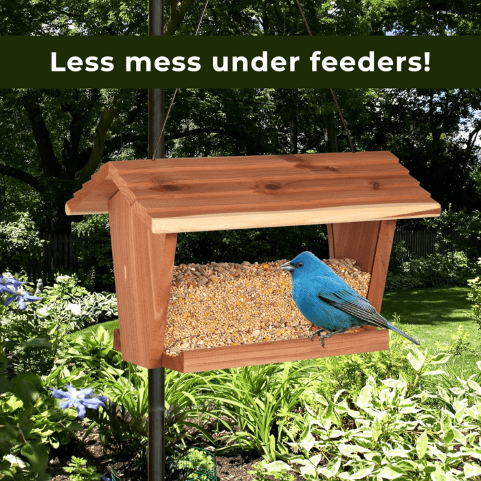 Wild Bird (No Mess or Waste Free) Food Seed Blend for Blue Jays, Woodpeckers, Juncos, Cardinals, Grosbeaks, Sparrows, and Finches, 10 Pound, (Packaging May Vary) - Image 8