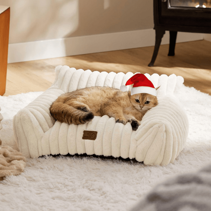 Cute Cat Couch for Pets - Fluffy Cat Sofa with Premium Soft Corduroy Fleece, Fuzzy Cat Couch Bed with Removable Washable Cover, Supportive Cat Chair for Indoor Cats, 24Inch, Cream