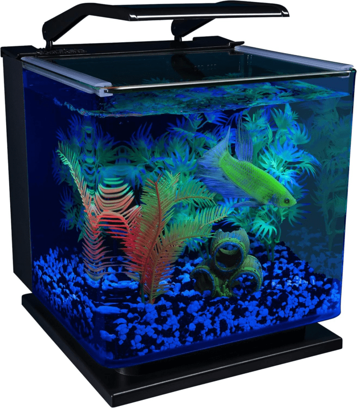 Betta Shadowbox Aquarium Kit - Image 6