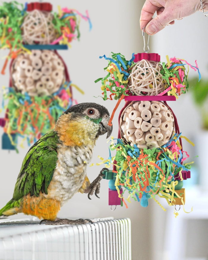 Conure Toys, 2PCS Bird Parrot Foraging Shredder Hanging Toys Sola Balls Sepak Takraw with Pacifier for Small Parrots Parakeets Conures Cockatiels Love Birds Cage Toy - Image 6