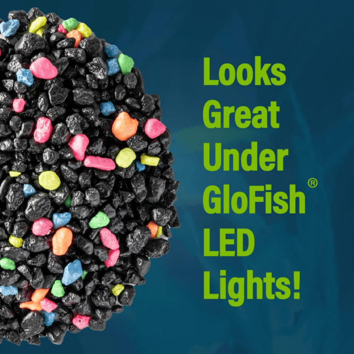 Aquarium Gravel, Fish Tank Gravel, Black with Fluorescent Accents, Compliments  Tanks, 5 Lb Bag - Image 5