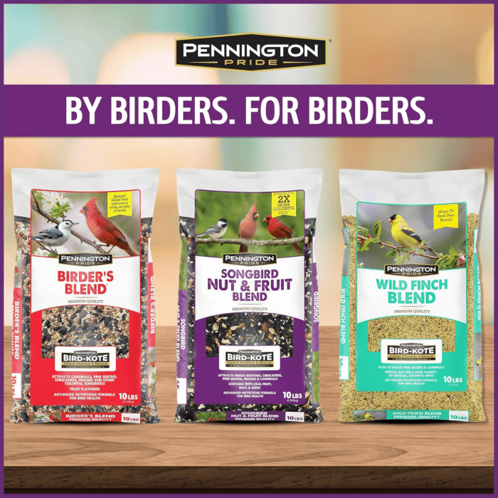 Pride Songbird Nut & Fruit Blend, Wild Bird Seed for outside Feeders, Advanced Nutrition Formula for Bird Health, 10-Lb. Bag - Image 7