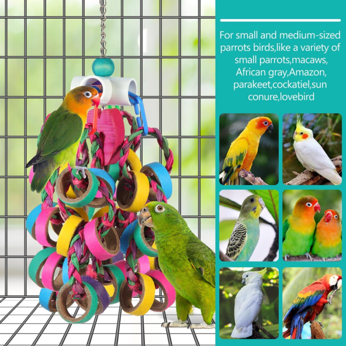 Bird Toys Conure Toys,Bird Parrot Foraging Shredder 24 Pcs Colorful Bagel Chewy Rings for Small Parrots Parakeets Conures Cockatiels Love Bird Cage Accessies (W) - Image 3