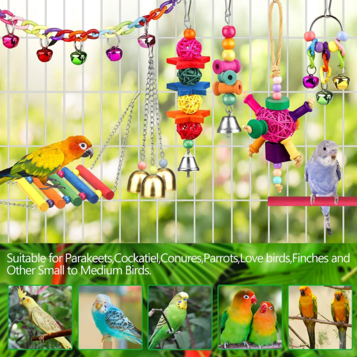 Bird Toys for Conures with Colorful Ladder Hammock Bird Cage Accerious Bird Perch Stand Chewing Toys Hanging Bell for Parrot Parakeet Cockatiel Lovebirds - Image 3