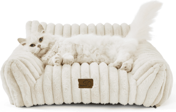 Cute Cat Couch for Pets - Fluffy Cat Sofa with Premium Soft Corduroy Fleece, Fuzzy Cat Couch Bed with Removable Washable Cover, Supportive Cat Chair for Indoor Cats, 24Inch, Cream - Image 8