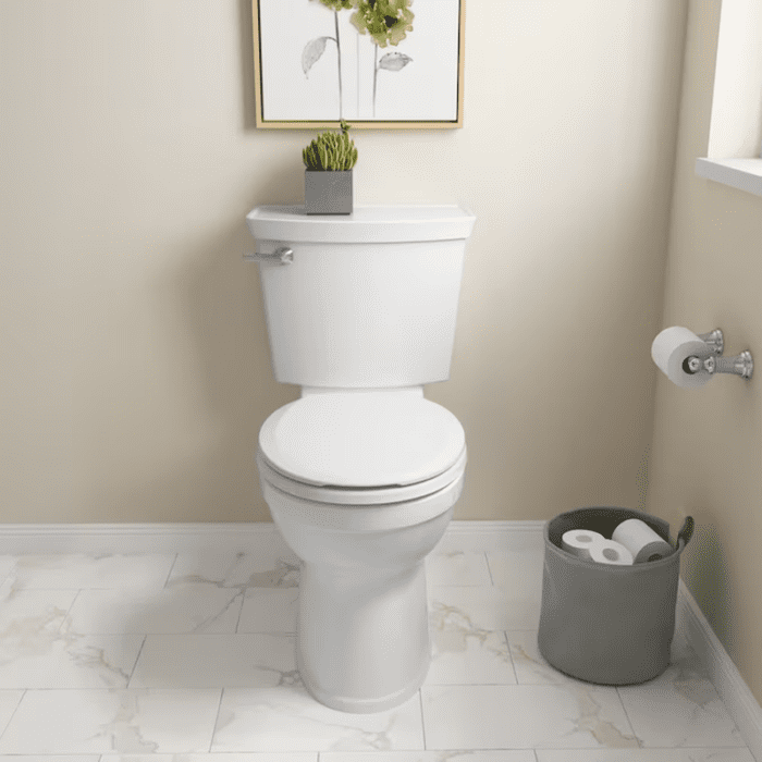 Champion White round Chair Height Soft Close 2-Piece Toilet 12-In Rough-In 1.6 GPF - Image 6