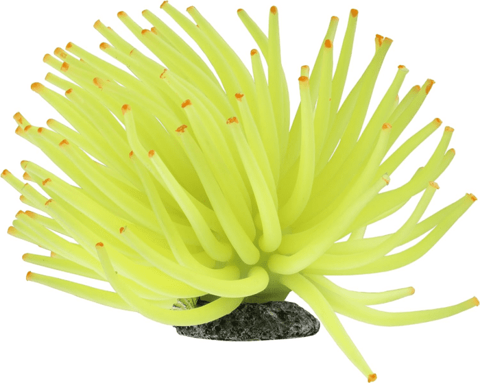 Anenome Ornaments, Fish Tank Decorations, Aquarium Decorations, Creates a Glowing Effect (Pack of 1)