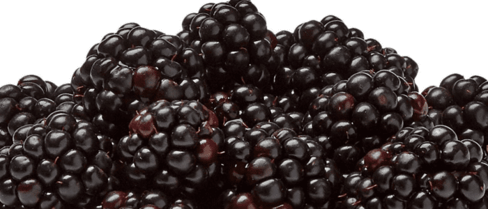 Blackberries, 6 Oz - Image 2