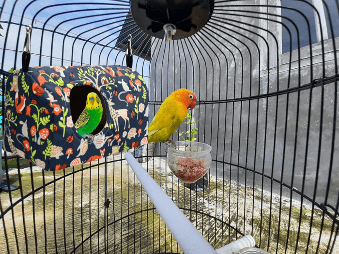 Parrot Cockatiel Warm House Bird Nest Bed Winter Hanging Hammock Birds Sleeping Bed Parrot Hideway Bed Polyester Fabric for Parrot Parakeet Cockatiels Budgies Lovebird African Grey (L) - Image 6