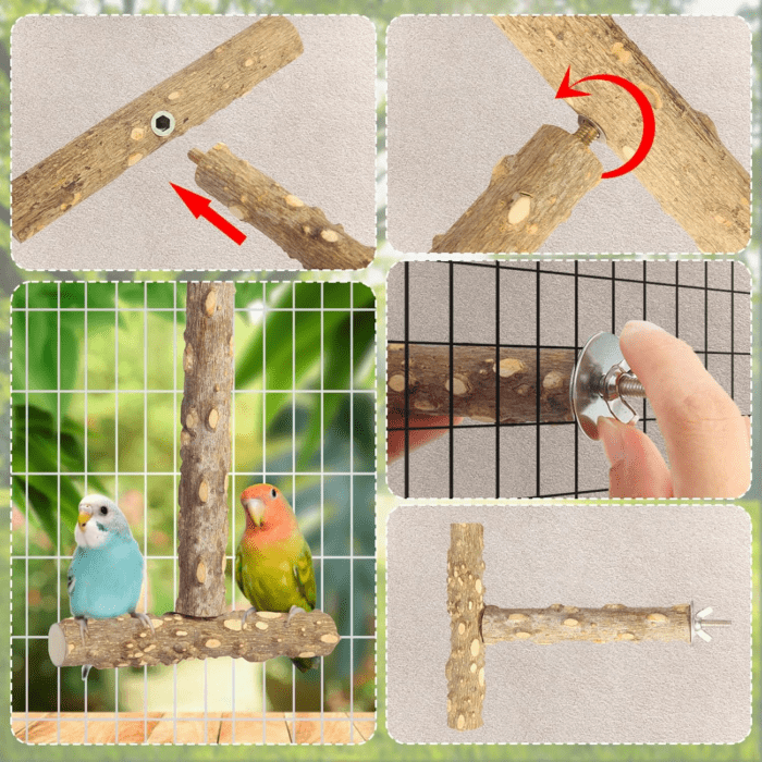 Bird Perches,4Pcs Natural Wood Birds Stand Branch, Bird Perch Chewing Stick Cage Accessories Parrot Climbing Standing Branches Paw Grinding Fork Sets for Parakeet Lovebirds Cockatiels Conure Budgies - Image 6