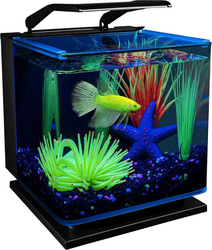 Betta Shadowbox Aquarium Kit