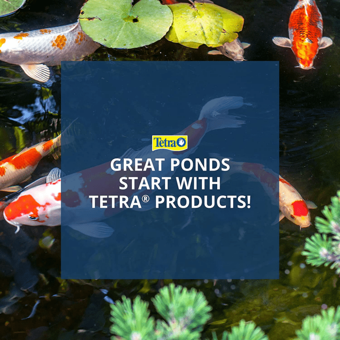 pond Pond Sticks, Healthy Nutrition for Goldfish and Koi - Image 7