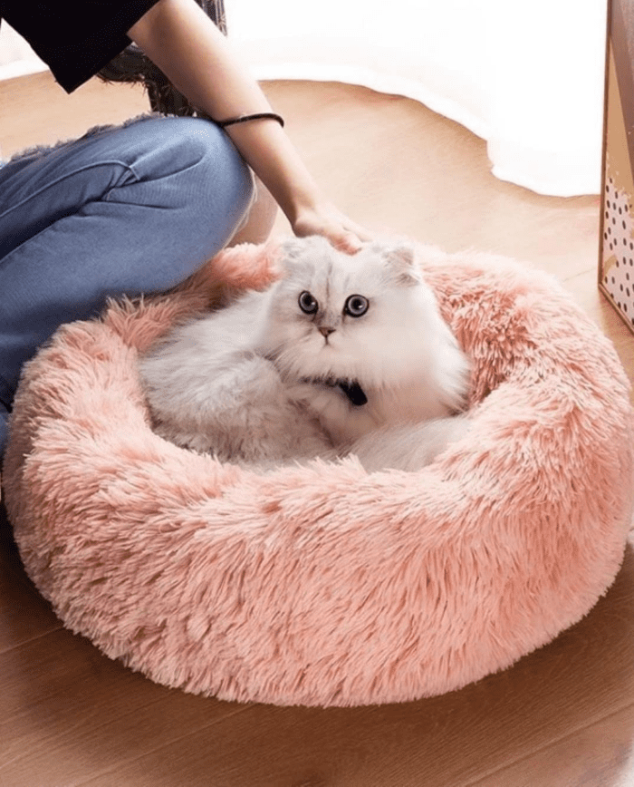 Cat Beds for Indoor Cats - Cat Bed Washable 20/24 Inches, Dog Beds for Small Medium Dogs, anti Anxiety round Fluffy Plush Faux Fur Cat Bed, Thick Bottom (Pink, Medium) - Image 3