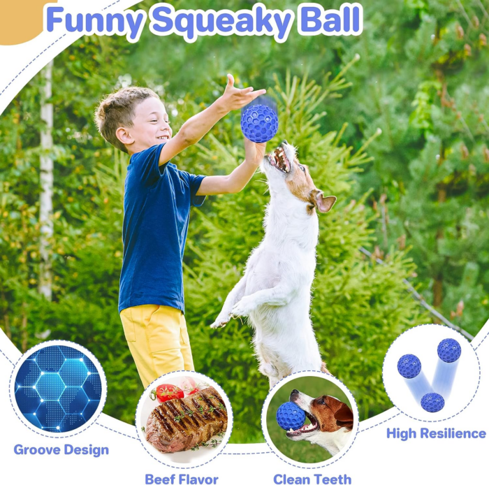 Indestructible Squeaky Dog Ball, Relieves Anxiety, Cleans Teeth, Interactive Chew Toy for Aggressive Chewers, Dog Toy for Large Breeds, Outdoor Waterproof - Image 4