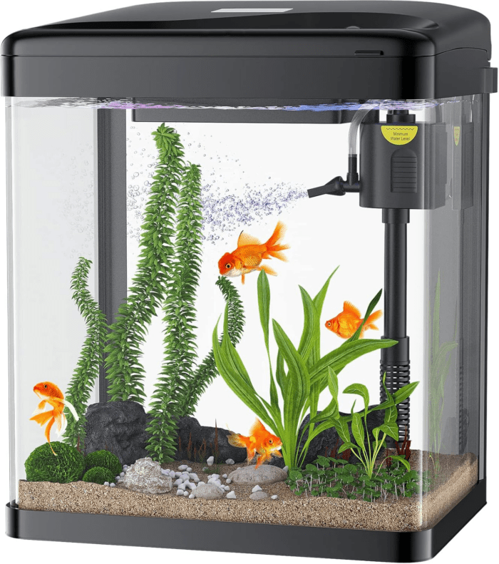 Betta Fish Tank, 2 Gallon Glass Aquarium, 3 in 1 Fish Tank with Filter and Light, Desktop Small Fish Tank for Betta Fish, Shrimp, Goldfish (Black)