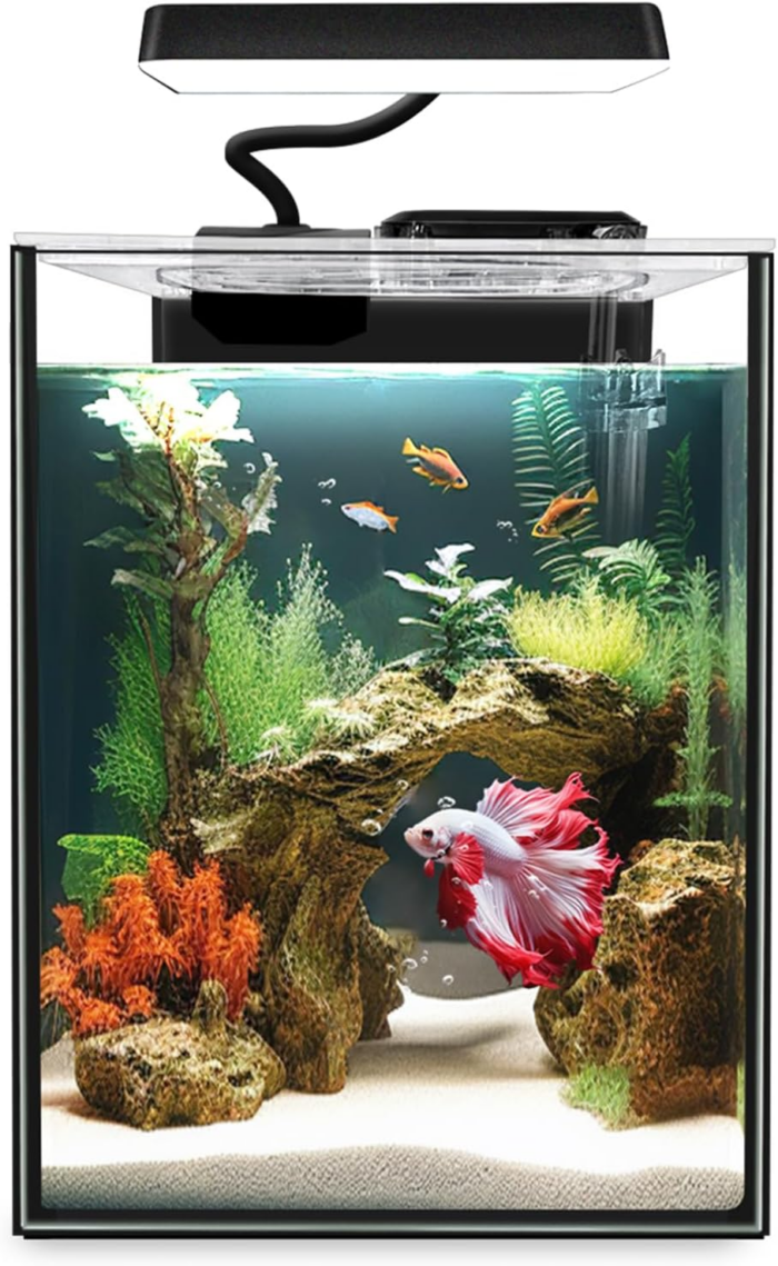 Glass Betta Aquarium Starter Kits 1.5 Gallon Small Fish Tank, Betta Fish Tank with LED Light, Power Filter, Black. 4Mm Glass