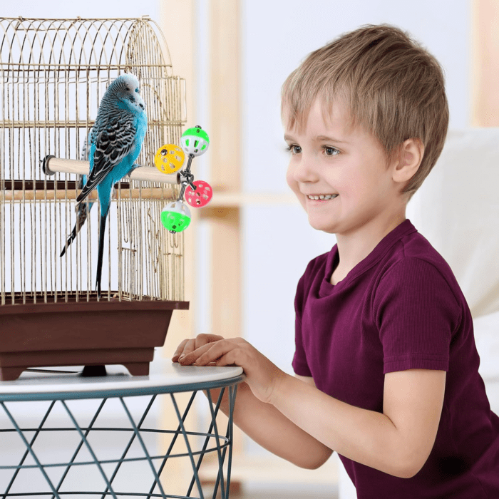 Stand Perch Toy with Rotating Balls for Birds, Parakeets, Budgies, Cockatiels, Parrots, Budgerigars, Conures, Parrotlets, Ringnecks, Lovebirds (1Pcs) - Image 5