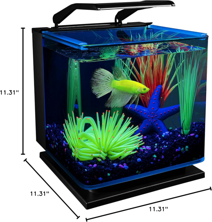 Betta Shadowbox Aquarium Kit - Image 7