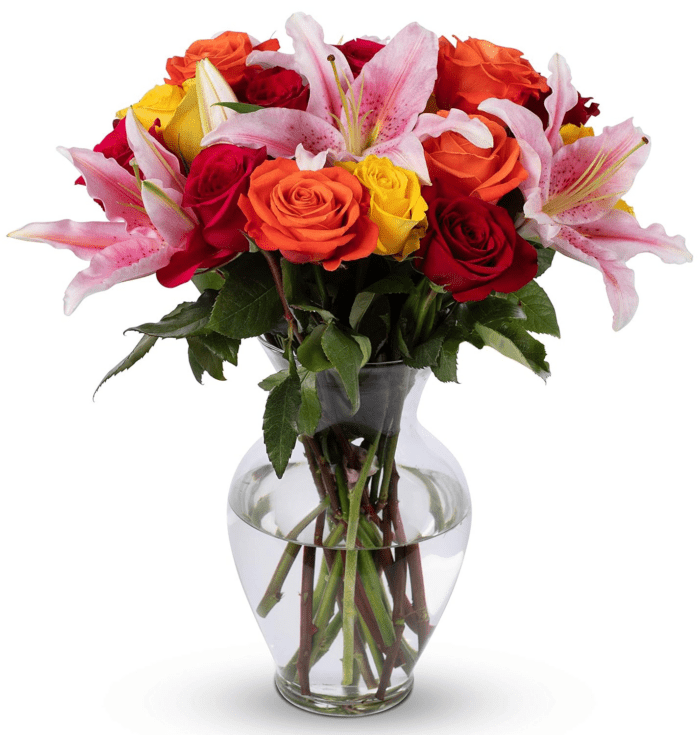 - Big Blooms, Glass Vase Included, Gift Fresh Flowers for Valentine’S Day, Birthday, Anniversary, Get Well, Sympathy, Congratulations, Thank You, Just Because