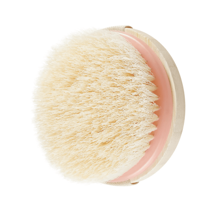 Dry Body Brush, Cruelty-Free Bristles Exfoliate & Smooth Skin, Dry Brushing Removes Dry Skin, May Help Improve Circulation & Skin Tone, Eco-Friendly Skincare Tool, Vegan, 1 Count - Image 11