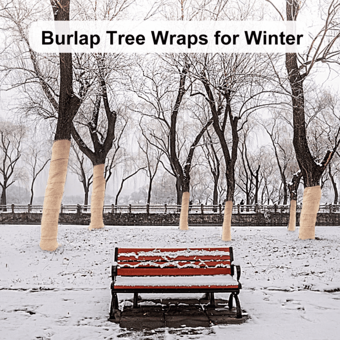 2 Rolls Burlap Tree Protector Wraps, 7.8" × 9.8' Winter Tree Trunk Guards Protector Wrap Burlap Fabric Garden Plants Tree Wrap Antifreeze Bandage Bark Protector Wrap for Keeping Warm and Moisturizing - Image 2