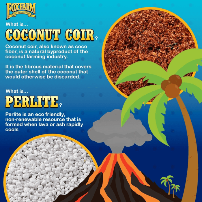 Cultivation Nation 70:30 Growing Media, 2Cu Ft - Mix of Coconut Coir and Perlite - Provides Aeration and Drainage, Use for Indoor/Outdoor Container Gardens - Image 3