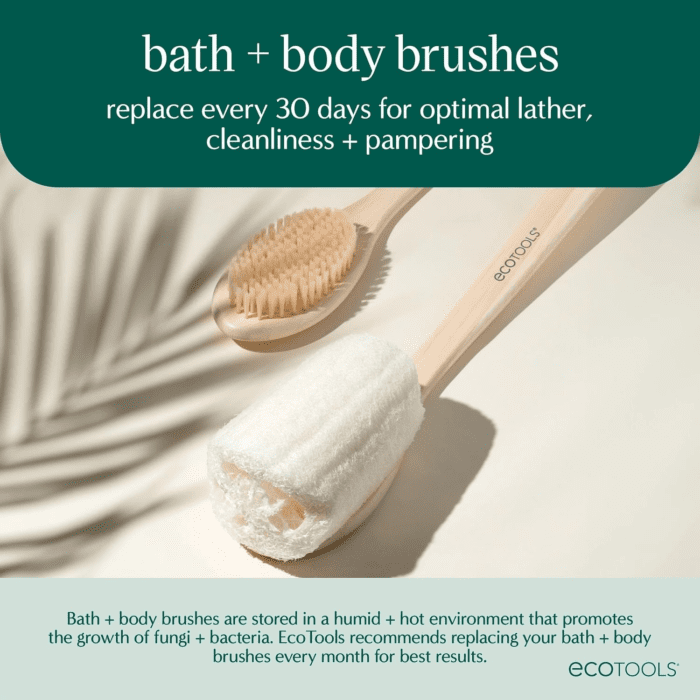 Dry Body Brush, Cruelty-Free Bristles Exfoliate & Smooth Skin, Dry Brushing Removes Dry Skin, May Help Improve Circulation & Skin Tone, Eco-Friendly Skincare Tool, Vegan, 1 Count - Image 8