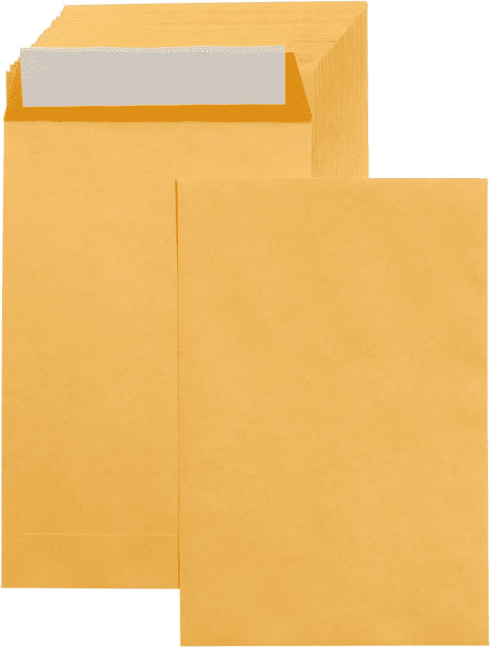 Self Adhesive Catalog Mailing Envelopes, Peel and Seal, 6X9 Inch, Brown Kraft, 100-Pack