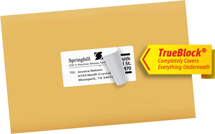 Printable Shipping Labels with Sure Feed, 2" X 4" Customizable Stickers, White, 1,000 Blank Mailing Labels, Great for Mailing, Shipping, and More (8463) - Image 9