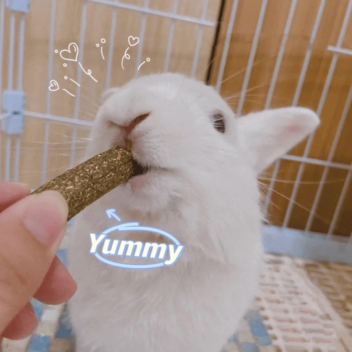 20 PCS Bunny Chew Toys for Teeth, Natural Rabbit Toys Apple Wood Grass Timothy Sticks Chew and Treat for Guinea Pigs Hamster Chinchillas - Image 7