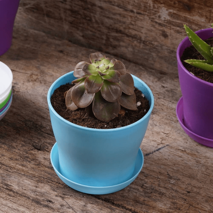 10 Pcs Plastic Planters Indoor Pots, Mini Flower Seedlings Nursery Flower Pot with Pallet, Modern Decorative Gardening Containers - Image 7