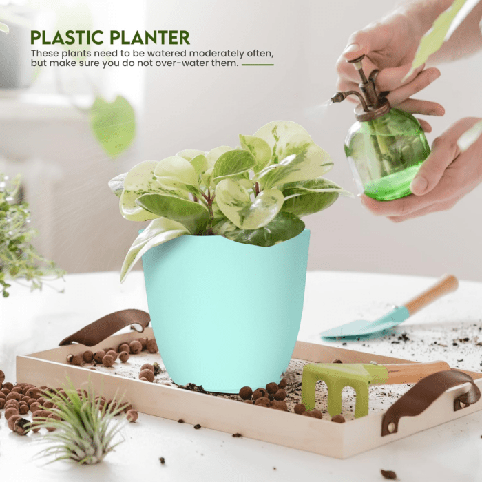 - Plant Pots Indoor with Drainage - 7/6.6/6/5.3/4.8 Inches Home Decor Flower Pots for Indoor Planter - Pack of 5 Plastic Planters for Indoor Plants, Cactus, Succulents Pot - Aqua - Image 4