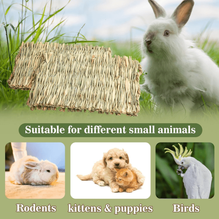 2 PCS Rabbit Grass Mats - Natural Hay Woven Bunny Rabbit Bad Cage Mats Pet Bedding Cooling Sleeping Nesting & Toys for Hamster Bunny Chinchilla Guinea Pig Mouse Bird and Other Small Animal - Image 6