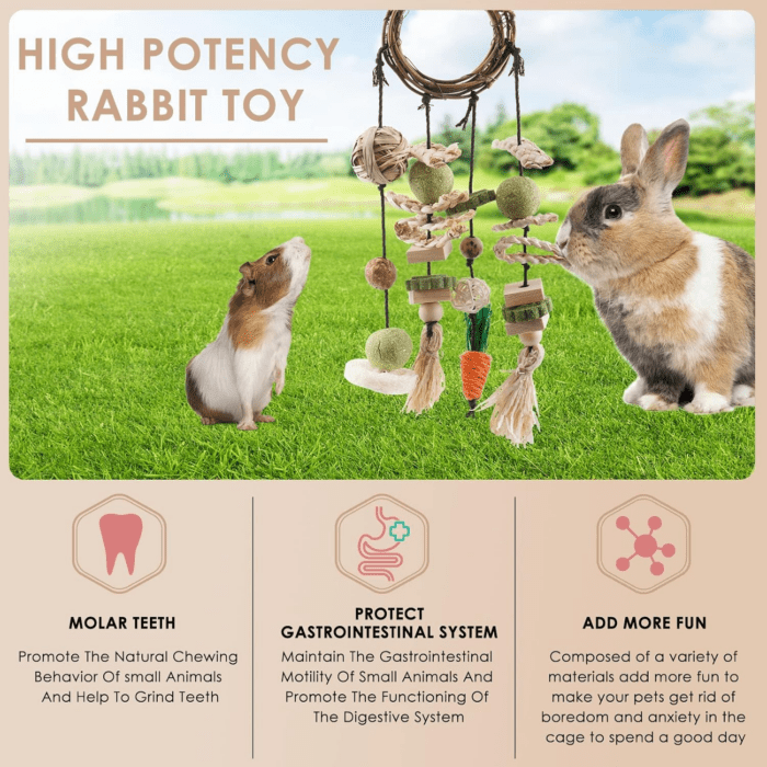 Bunny Chew Toy, Rabbits Cage Hanging Chew Toys and Treats Rattan Ring with Snacks for Guinea Pigs Chinchillas Hamsters Rats and Other Small Pets Teeth Grinding - Image 4