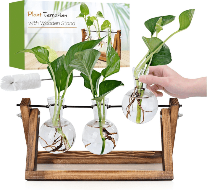 Plant Propagation Station, Plant Terrarium with Wooden Stand, Unique Gardening Birthday Gifts for Women Plant Lovers, Home Office Garden Decor Planter - 3 Bulb Glass Vases