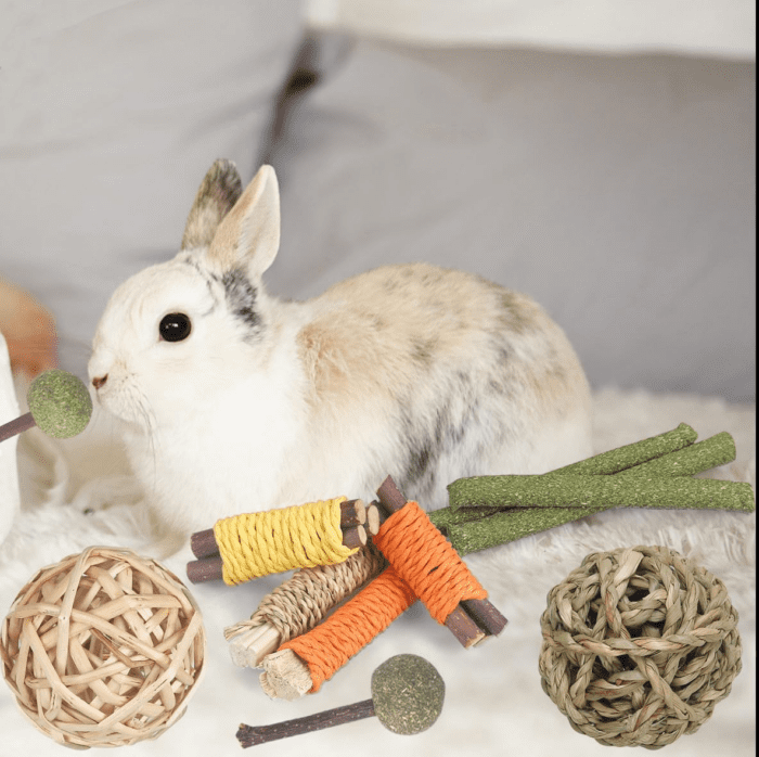 Rabbit Toys Bunny Toys 26Pcs Natural Timothy Hay Sticks Apple Wood Sticks Handmade for Guinea Pig Hamster Rat Chinchilla - Image 6