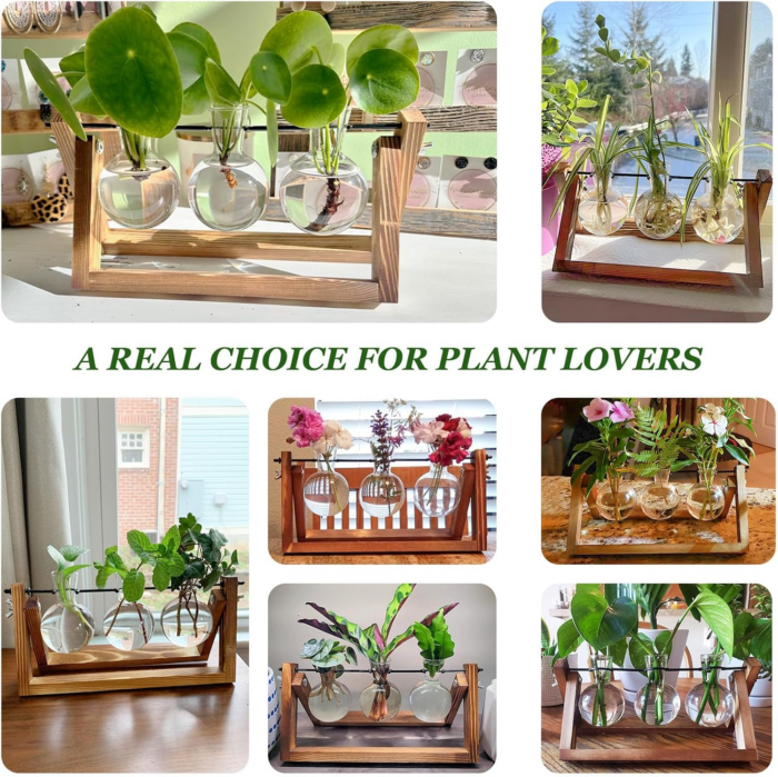 Plant Propagation Station, Plant Terrarium with Wooden Stand, Unique Gardening Birthday Gifts for Women Plant Lovers, Home Office Garden Decor Planter - 3 Bulb Glass Vases - Image 5