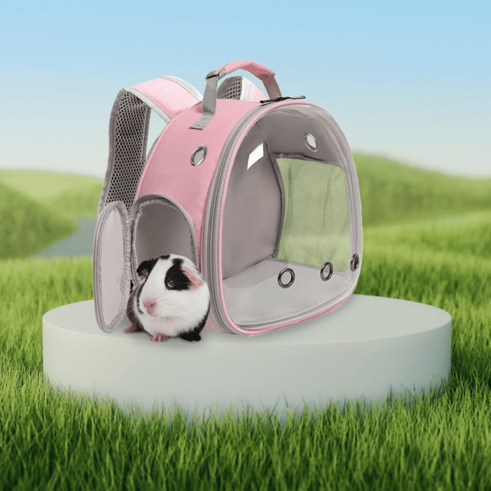 Guinea Pig Backpack, Space Capsule Bubble Window Small Animal Backpack for Guinea Pig, Bird Bunny Rabbit - Image 6