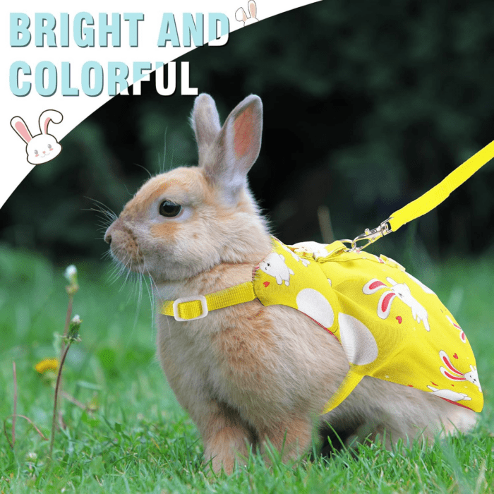 3 Piece Cute Rabbit Leash and Harness Set, Bunny Rabbit Dress Clothes Walking Harness Vest Escape Proof Pet Supply for Rabbit Hedgehog Ferret Guinea Pig (Cake, Bunny, Pineapple) - Image 5