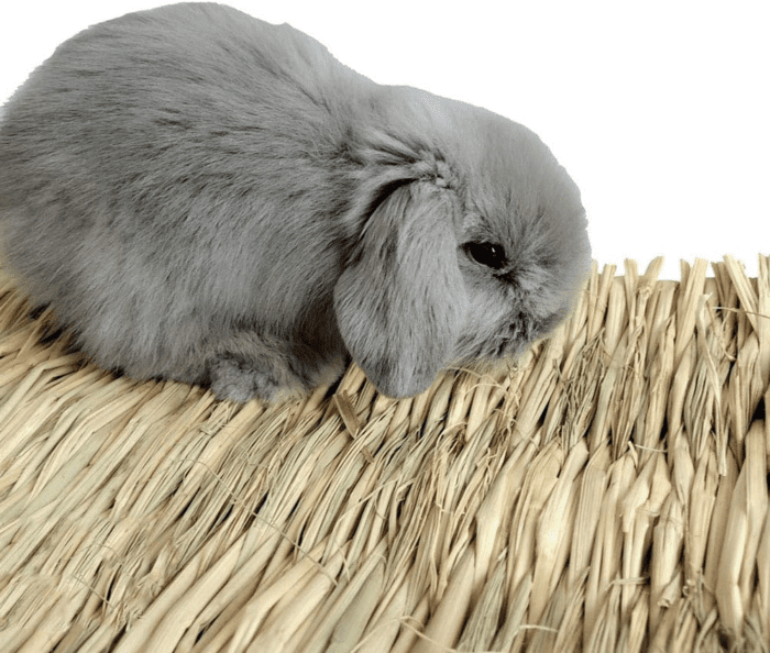 Grass Mat Woven Bed Mat for Small Animal Bunny Bedding Nest Chew Toy Bed Play Toy for Guinea Pig Parrot Rabbit Hamster Rat(Pack of 3) - Image 3