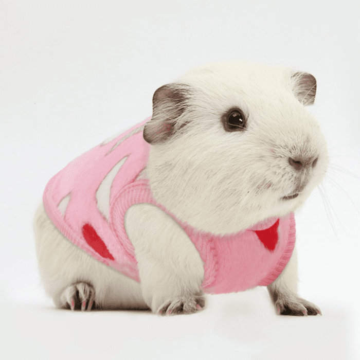 4 Pack Guinea Pig Clothes Rabbit Warm Vest Flannel Fleece Pet Costume T-Shirt for Small Animal Kitten Ferret Chihuahua Puppy (Rainbow, Xx-Small) - Image 5