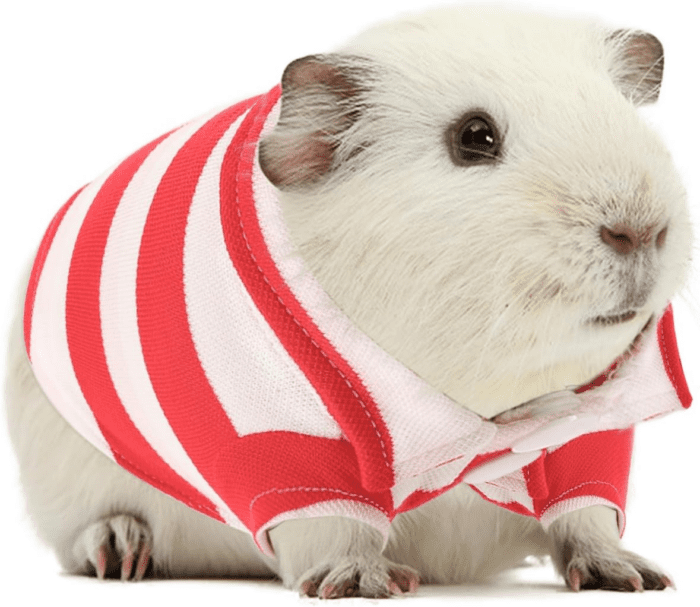 2 Pack Guinea Pig Clothes Rabbit Summer T-Shirt Pet Costume Vest for Small Animal Kitten Ferret Chihuahua Puppy - Image 7