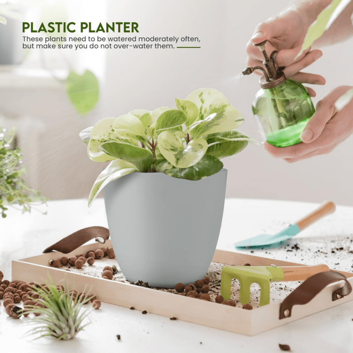 - Plant Pots Indoor with Drainage - 7/6.6/6/5.3/4.8 Inches Home Decor Flower Pots for Indoor Planter - Pack of 5 Plastic Planters for Indoor Plants, Cactus, Succulents Pot - Gray - Image 4