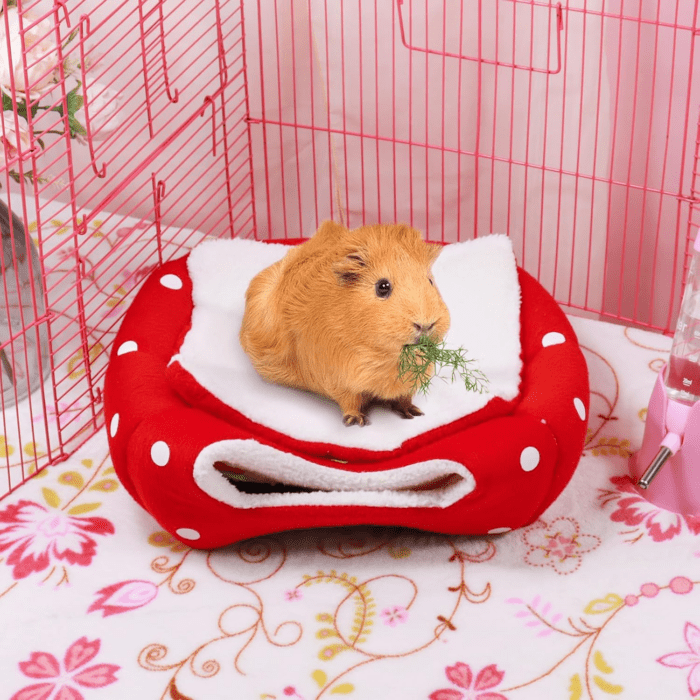 Guinea Pig Bed Rabbit Hideout Warm Fleece Cuddle Cup Washable Winter Sleeping House for Small Pet/Ferret/Chinchilla/Bunny (Strawberry Style) - Image 2